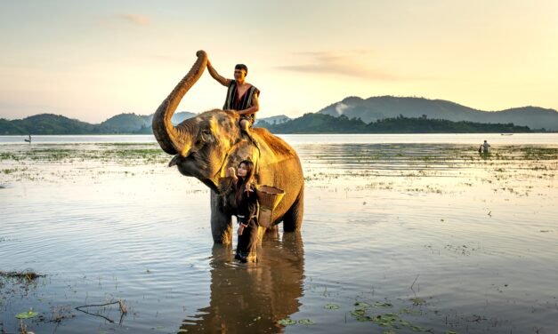 La Thaïlande vise 5 à 15 millions de touristes étrangers en 2022